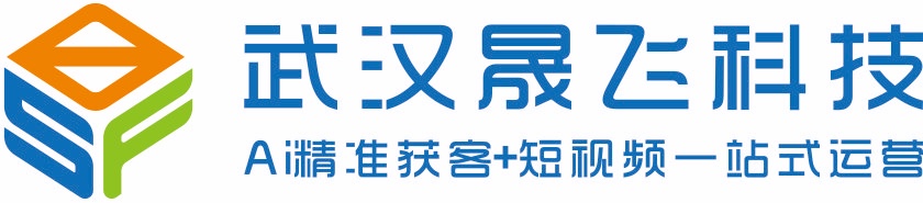 武汉晟飞科技有限公司